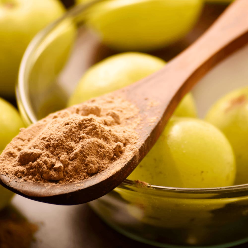 Cellular! Indian Gooseberry. Diabetes-Acidity-Liver-Weight-Memory-Joint Pain-Diuretic-Toxins-Hair-