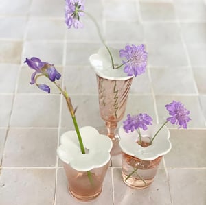 Image of SOLIFLEUR blanc