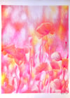 Poppies garden - risographie