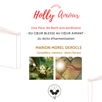 HEALING HOLLY AMOUR (livre)