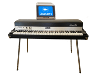 Zoom/email Consultation