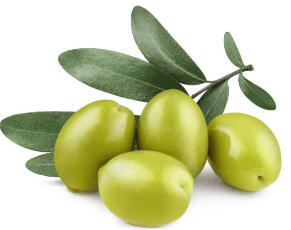 Scalp To Roots! Mushroom/Burdock/Nettle/Buckthorn/Cayenne/Cell Renewing Skin & Scalp Medicinal Oils