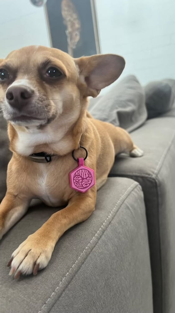 Image of UYD custom pet tag - Click through to Customize