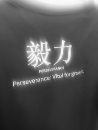 Image 2 of PERSEVERANCE | 毅力 (yìlì)