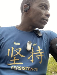 Image 3 of PERSISTENCE | 坚持 (jiānchí)