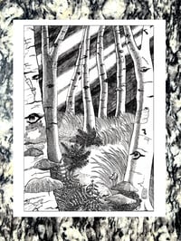 Image of "Forest of Eyes" Print