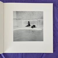 Image 5 of WIR Photobook