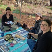 Image 4 of Full Day Foraging Workshop <br>( 6- HOURS )</br>