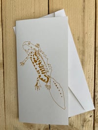 Image 2 of Jumping newt card