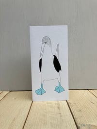 Image 1 of Blue-Footed Booby Card