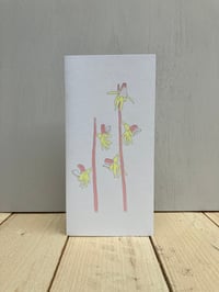 Image 1 of Ghost Orchid card