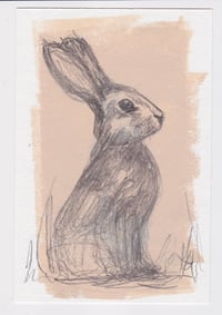Rabbit, Monotype