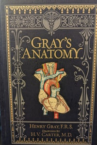 Gray's Anatomy