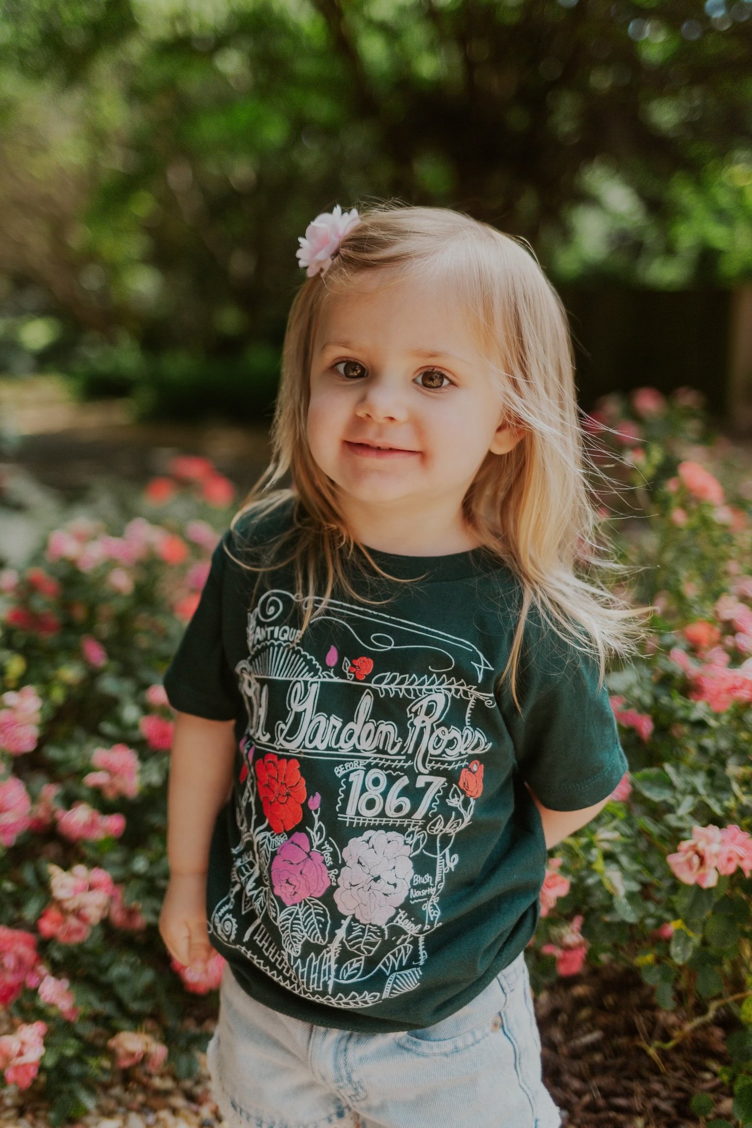 Image of Youth Old Garden Roses 