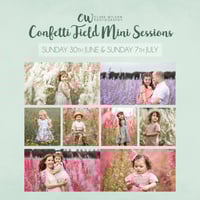 Confetti Fields 2025