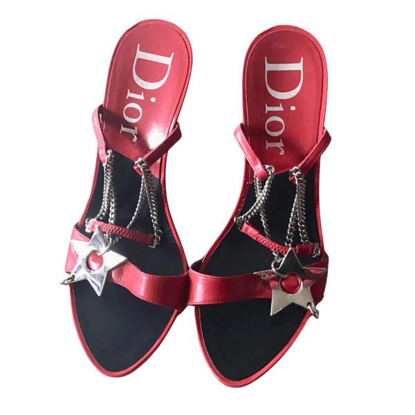 Image of DIOR STAR HEELS