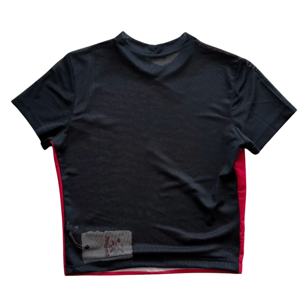 Image of ROSE MESH TOP