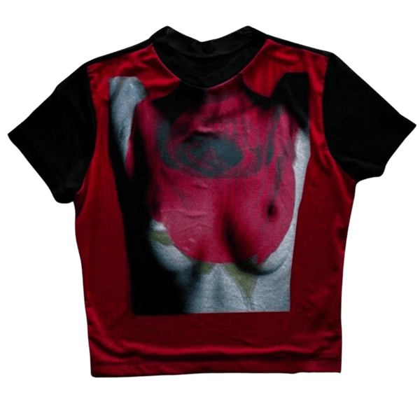 Image of ROSE MESH TOP
