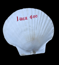 Image 1 of Vintage Luau 400 Shell Ashtray FREE SHIPPING 