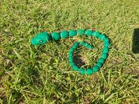 Image 2 of Snakes