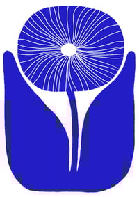 Cornflower A2 Sample Print