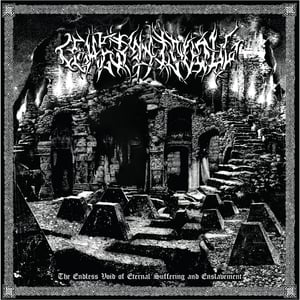 Image of Geheimnisvoll – The Endless Void of Eternal Suffering and Enslavement 12" LP