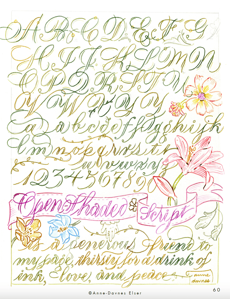 Image of The Glass Line: Cursive Crush, Open-Shaded Script, & Florals