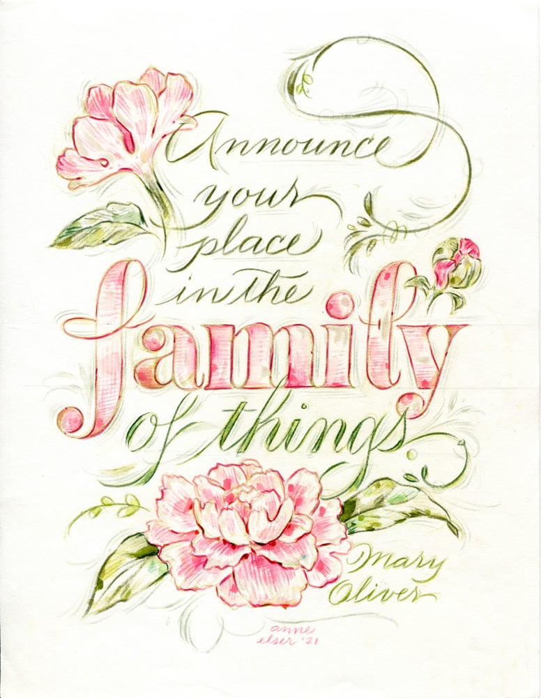 Image of FLORA2: Bodoni Variations V 3.0