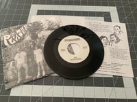 Image 2 of Pleather- Wasting Time with Riot 7"