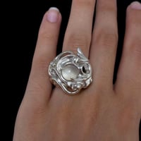 Image 1 of Aquatic ring 