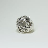 Image 3 of Aquatic ring 