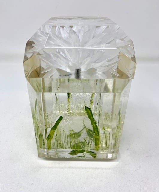 Image of New Clear Floral Petite (with painted leaves and stems)