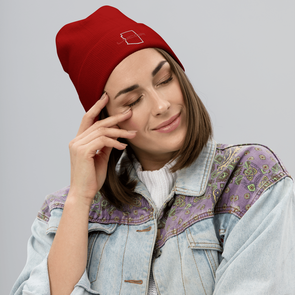 Image of Embroidered Beanie