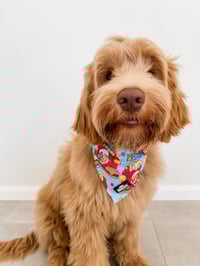 Image 1 of Happy Kid Bandana