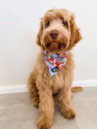Image 2 of Happy Kid Bandana