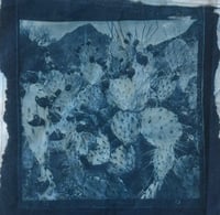 Image 1 of Cyanotype Bandanas