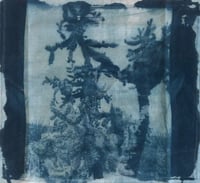 Image 3 of Cyanotype Bandanas