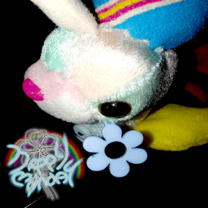 Kiowa, the discal container for floral activity