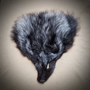 Image of Silver Fox Face