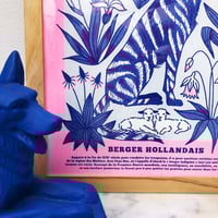 Image 3 of Poster Berger Hollandais