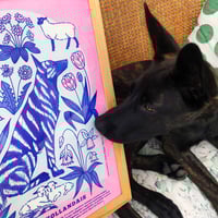 Image 5 of Poster Berger Hollandais