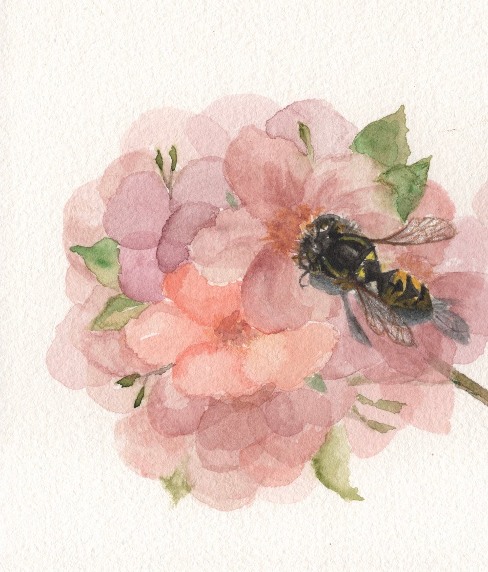 Image of Little Visitor Prints