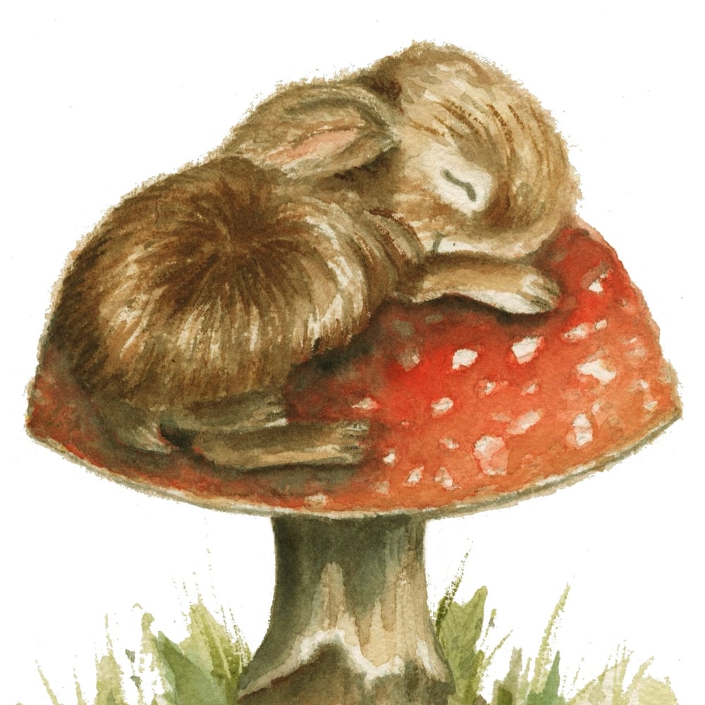 Image of Sleeping Toadstool Bunny - Prints