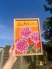 Image 2 of Pink dahlias