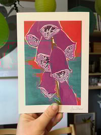 Image 2 of Foxgloves