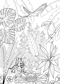 Image 4 of Cahier de coloriage 
