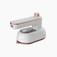 Handheld Ironing Machine 