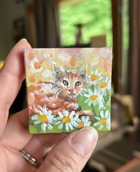 Image 3 of Bebe sized Cat in the Daisies 