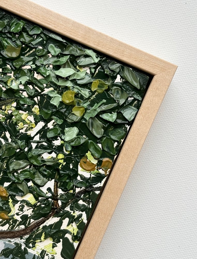 Image of Dappled Light