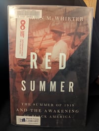 Red Summer The Summer of 1919 and the Awakening of Black America